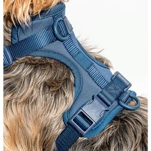 Wild One harness (S)